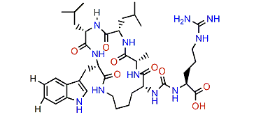 Paltolide A